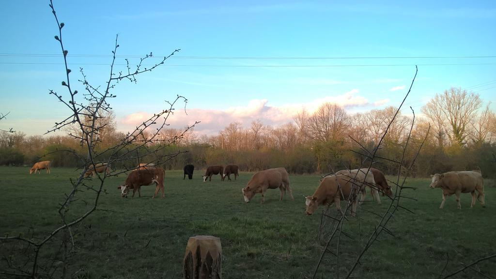 Les Chalets De Maramour Chazey-sur-Ain Esterno foto